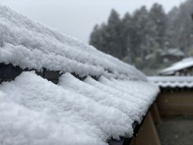 北海道大雪 「不冬眠熊」東京近郊現蹤2/北海道大雪成「銀白世界」 民眾忙除雪、拉雪橇上路