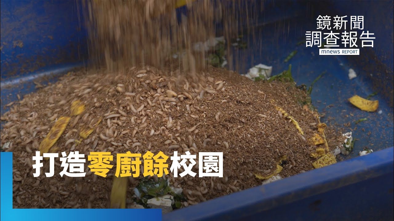 清廚餘奇兵「黑水虻」!從蟲到雞蛋 吉慶國小打造「零廚餘」循環校園