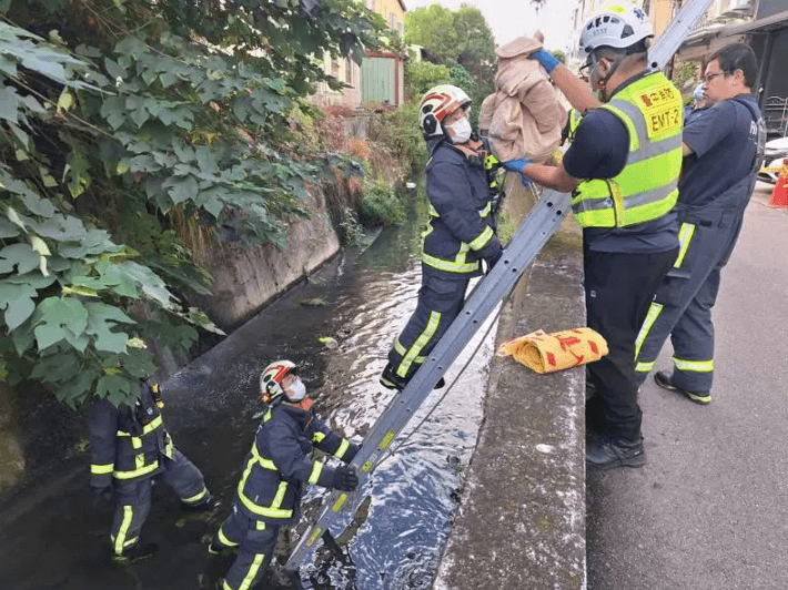 台中大排驚見嬰屍「臍帶還連著」　25歲生母落網先送醫檢查