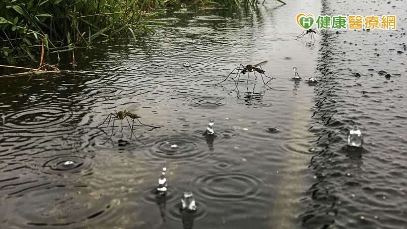 雨後清理家園防傳染病 疾管署籲:防疫三保「裝備、飲食、清潔」