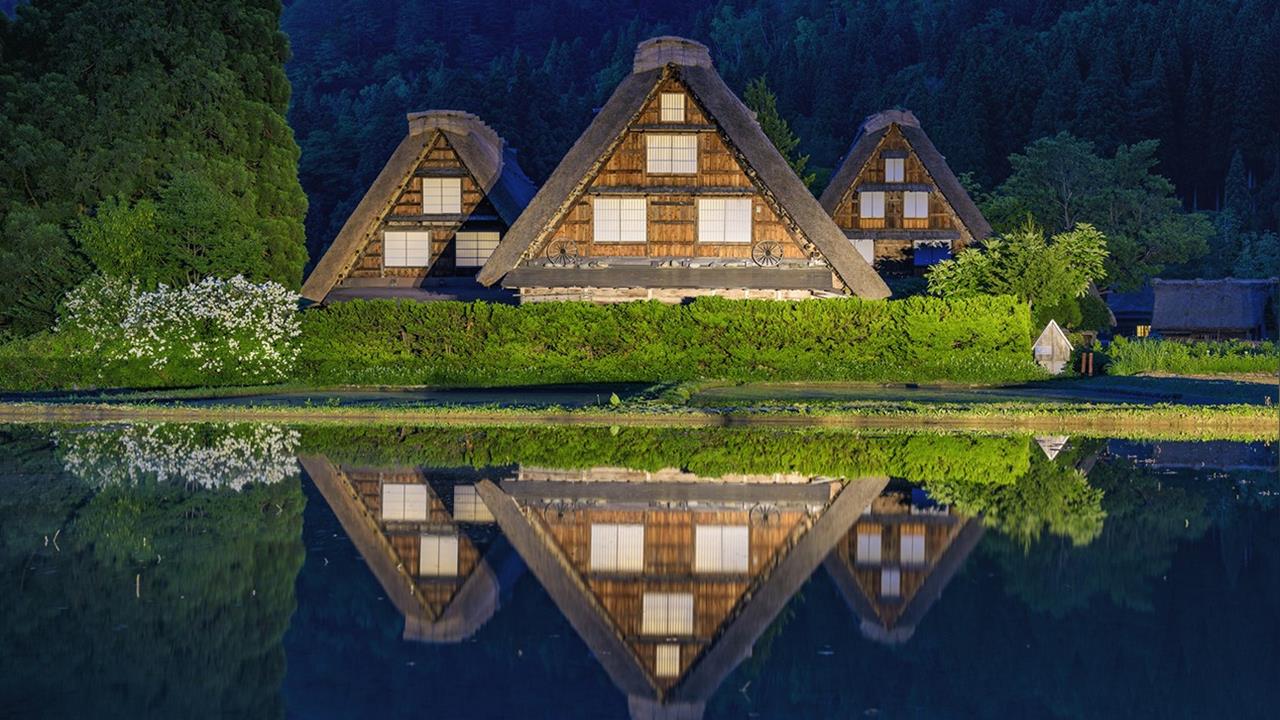 去日本玩注意!黑熊抓傷遊客事件頻傳 老婦遭拖走下落不明