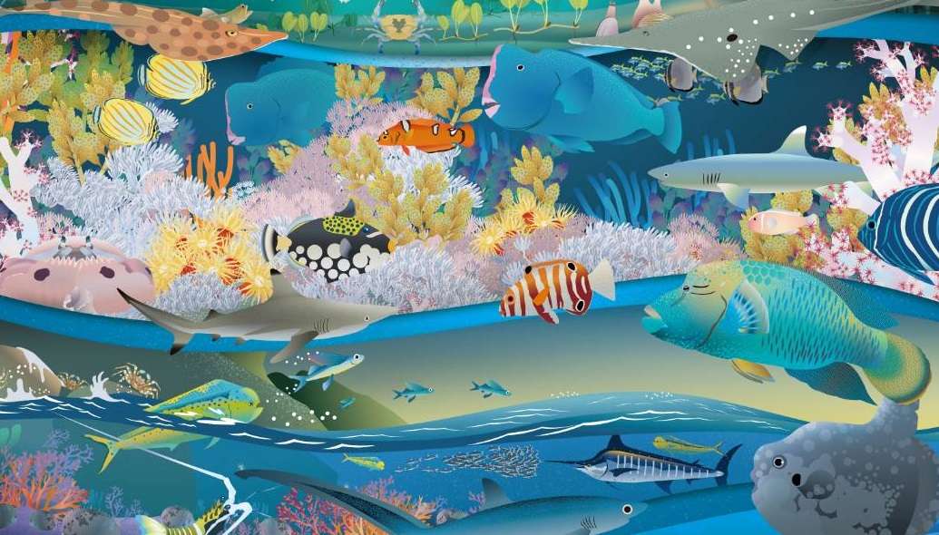 海保署2026海洋保育年曆搶先看 超美插畫呈現萬物共生奇蹟