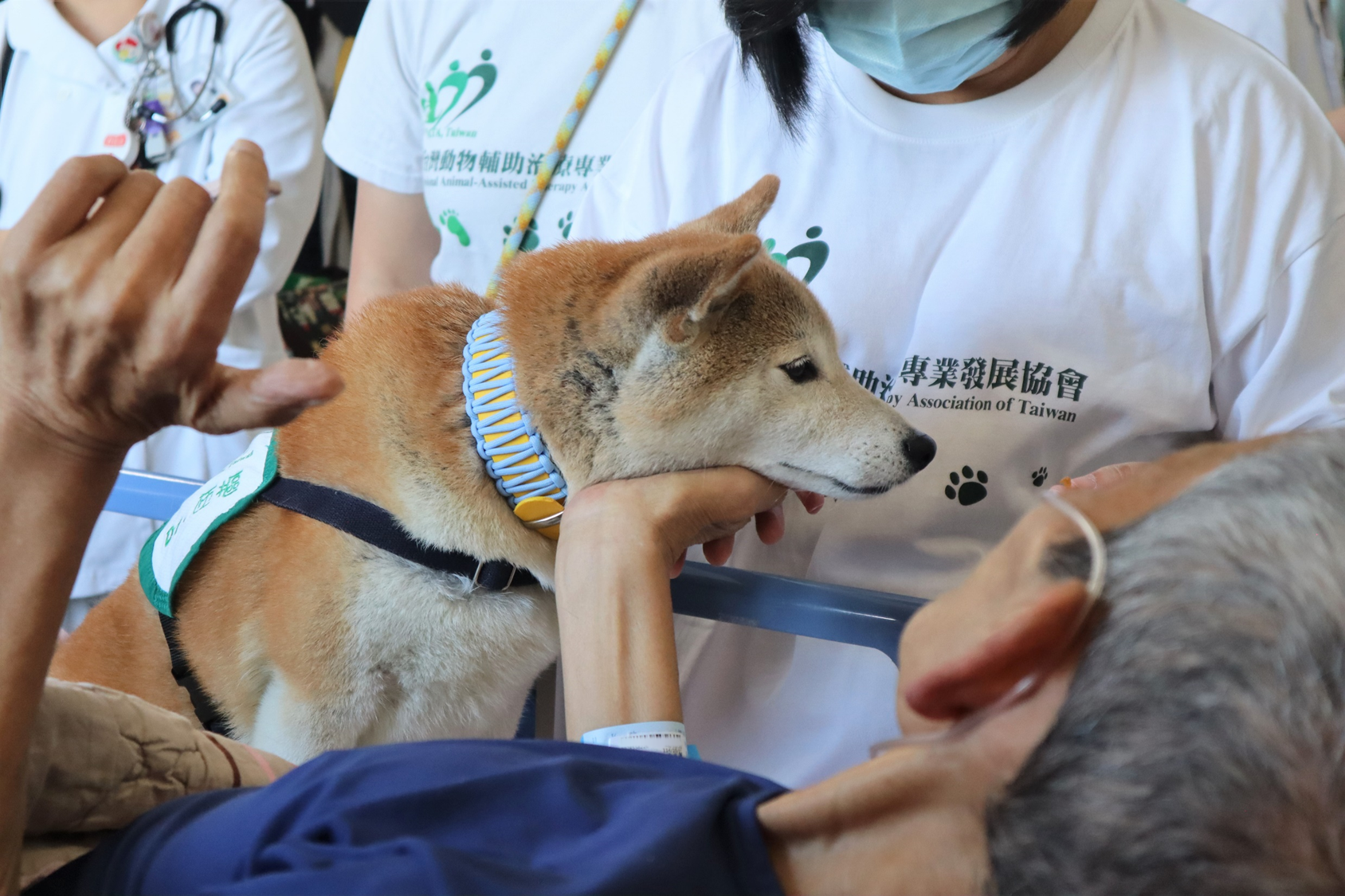 桃園醫院響應世界安寧日 動物輔助、藝術治療暖心陪伴病患 image