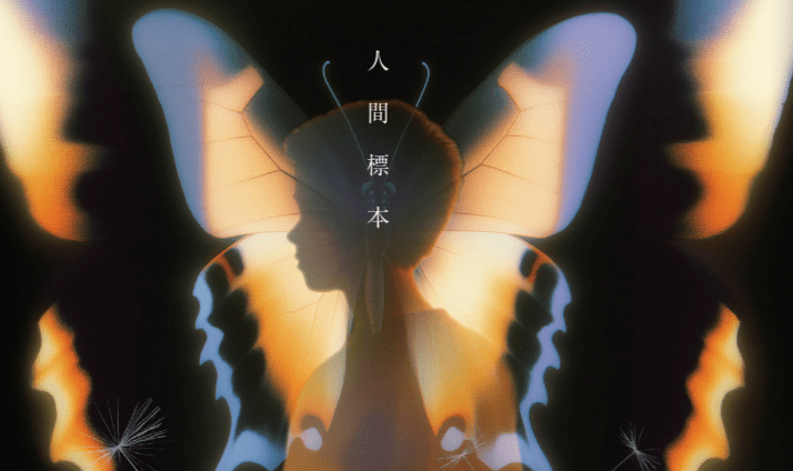 副刊/讀湊佳苗《人類標本》:標本已死,蝴蝶翅膀上的色彩仍隨光流轉