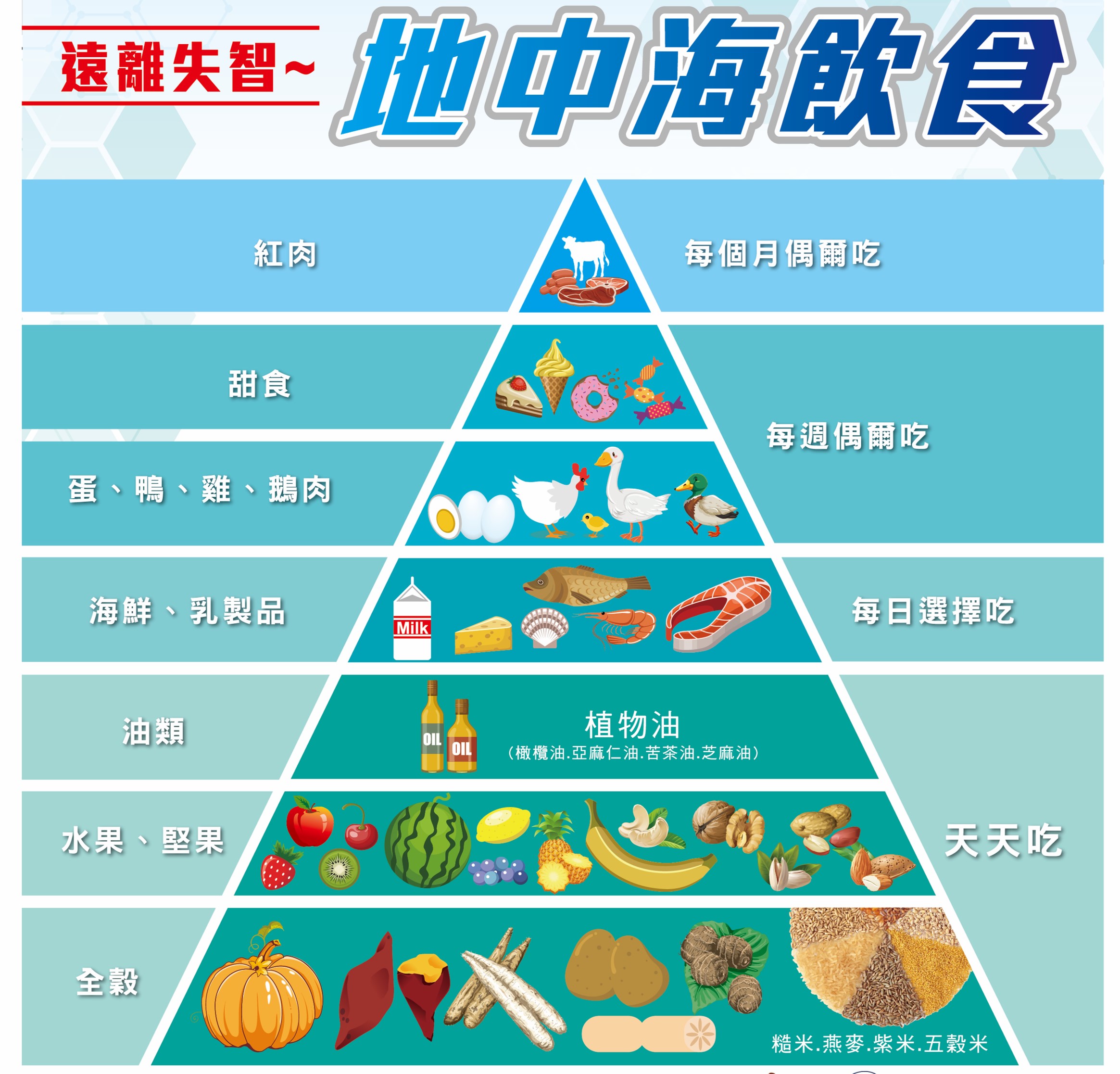 地中海飲食衛教 0