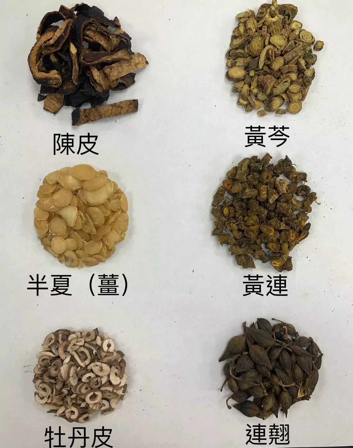 化療副作用考驗身心 恩主公醫院中醫輔助改善病友生活品質 13886684 3