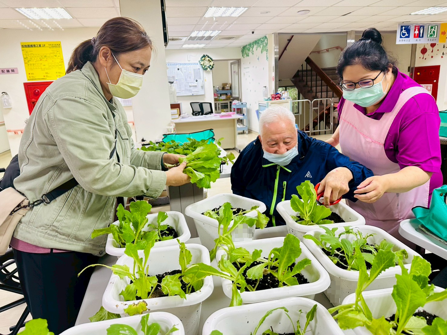 北榮桃園分院護理之家推動園藝輔助治療 長輩親手種菜、料理滿滿成就感 1 0