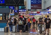 網友籲明年11/28別出國 台灣不能少你一人