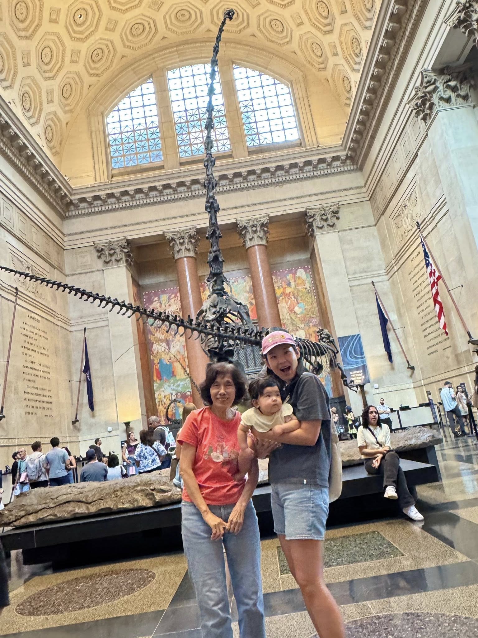 副刊/紐約自然歷史博物館 4564646 1