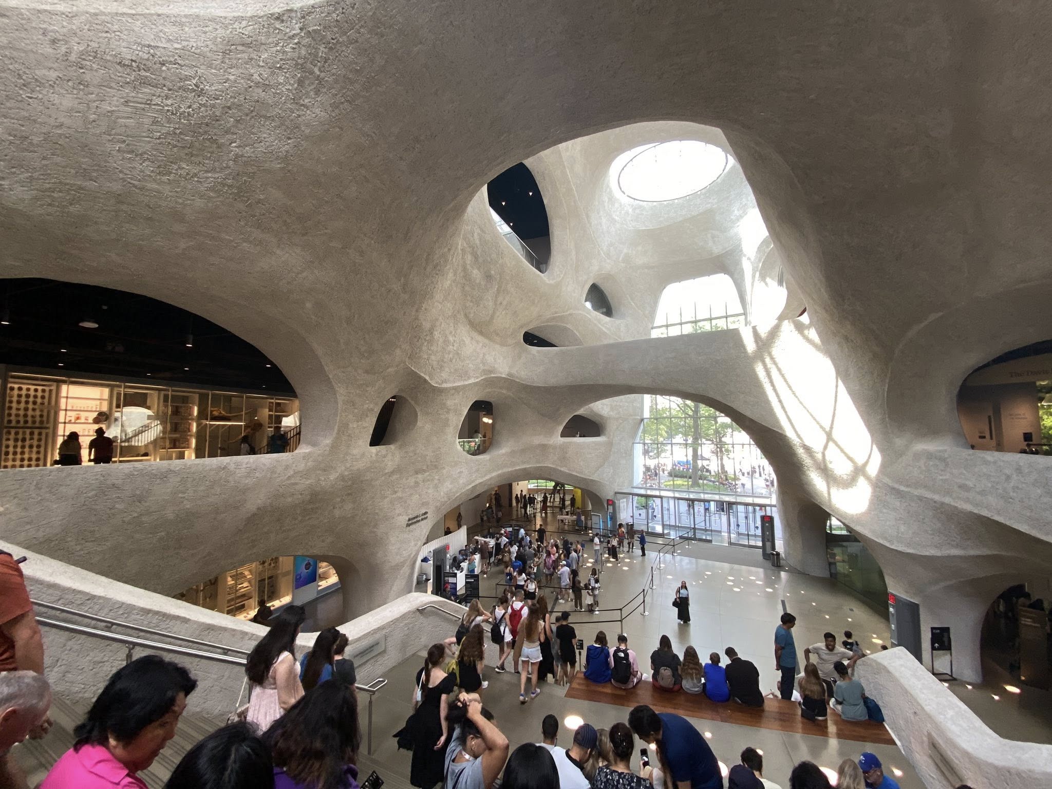 副刊/紐約自然歷史博物館 4564646 2