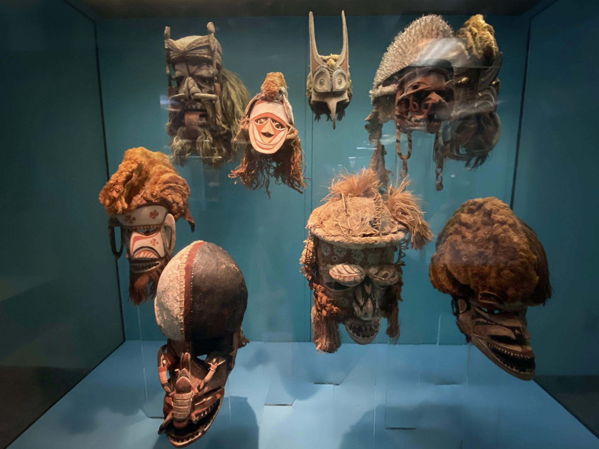 副刊/紐約自然歷史博物館 4564646 4