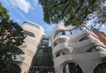 副刊/紐約自然歷史博物館