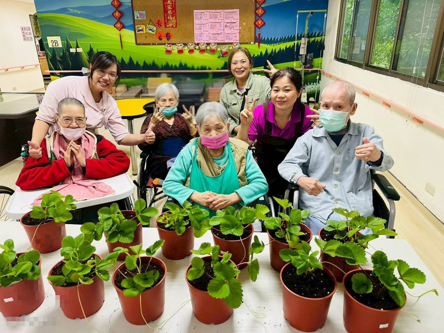 北榮桃園分院護理之家推動園藝輔助治療 長輩親手種菜、料理滿滿成就感 4 0