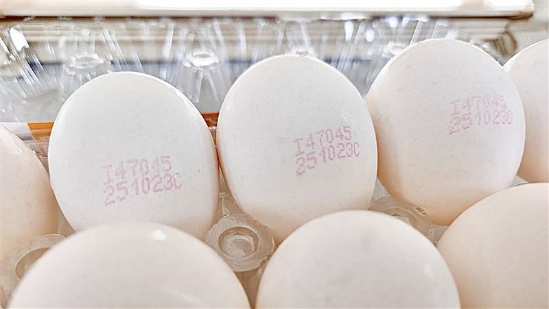 芬普尼毒蛋人心惶惶 快靠3步驟自保