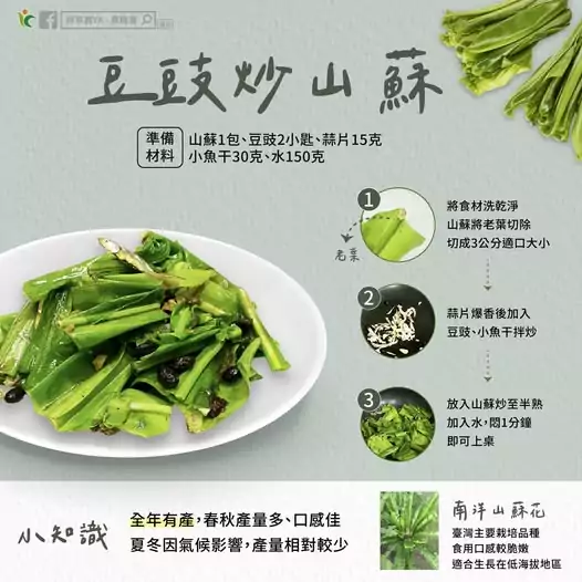 廚房新手也能上手!豆豉炒山蘇這樣做最爽口 566293199 1133558942256068 6049893262975907546 n