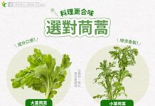 冬季火鍋怎麼煮最對味?這種茼蒿最適合當配料