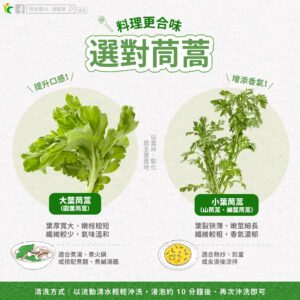 冬季火鍋怎麼煮最對味？這種茼蒿最適合當配料