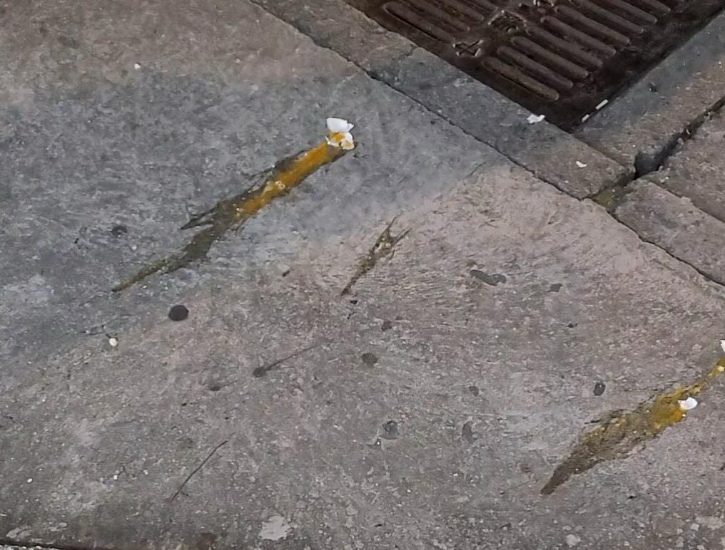 587290984 17923515135189768 7511561473887660552 n e1764307056746