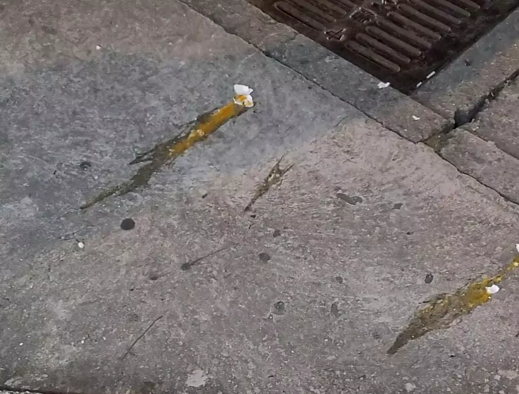 桃園中壢出現砸雞蛋怪人?她與女大生爆衝突 驚動警方到場 587290984 17923515135189768 7511561473887660552 n e1764307056746