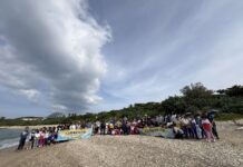 救援2擱淺海龜恢復健康 海生館攜手民眾野放回歸大自然