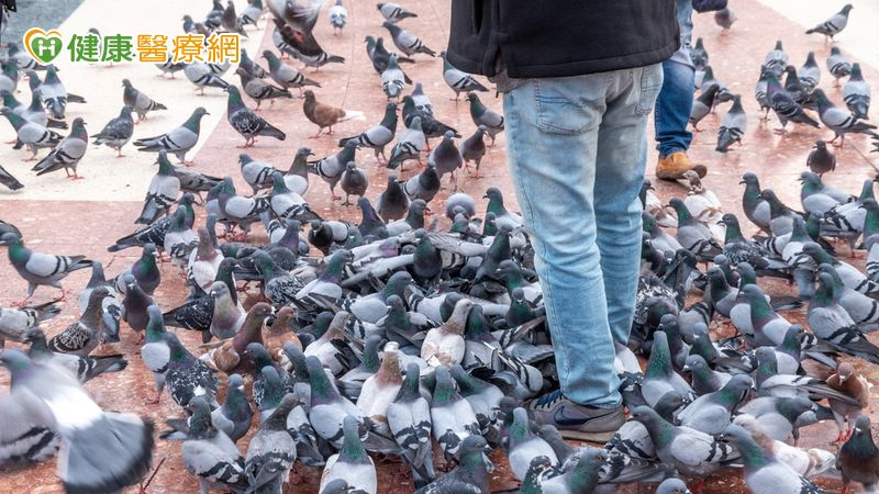 全球首例!美國爆人類感染 H5N5 禽流感亡 專家揭可能傳染來源