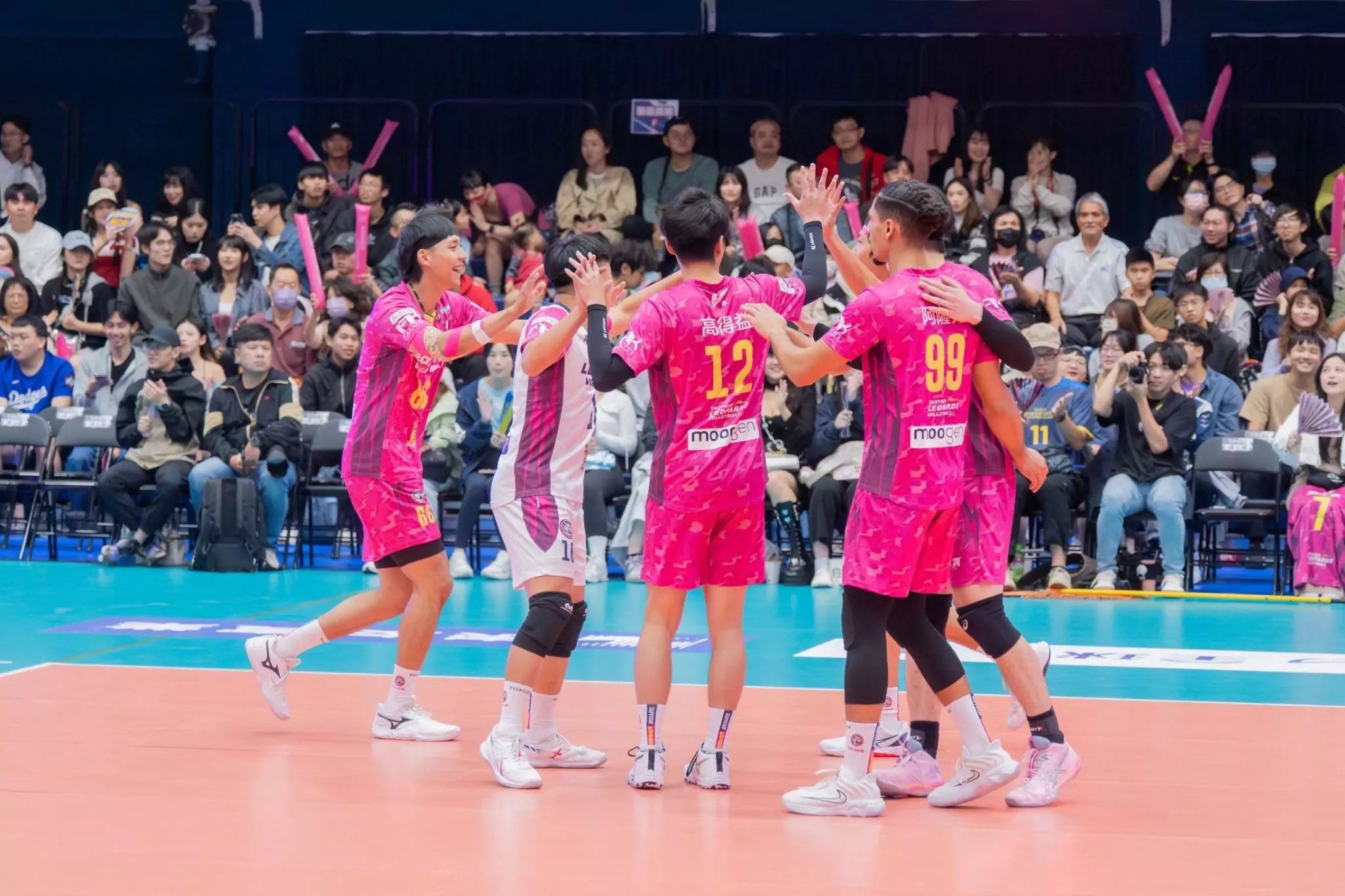 TPVL職排桃園主場開打 雲豹飛將與桃氣女孩熱力登場 TPVL職排桃園主場開打 雲豹飛將與桃氣女孩熱力登場