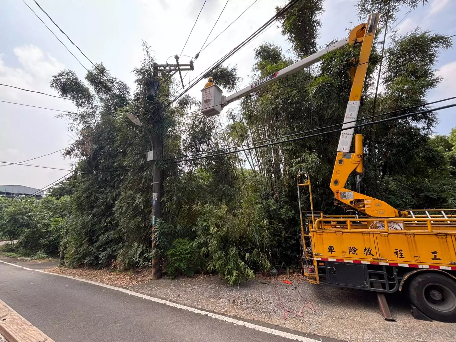 鳳凰颱風侵台機率大增 台電桃園區處超前部署 853410