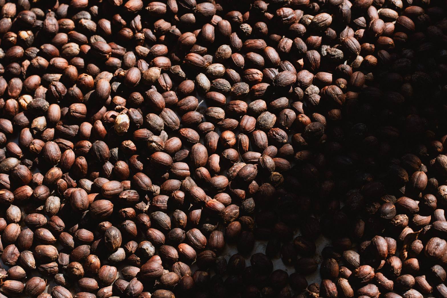 桃園復興好咖節11/29起升級回歸!咖啡飲調賽首次登場 961688 0