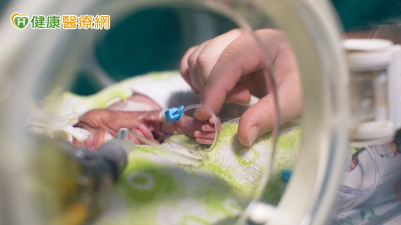 比養樂多還輕的早產兒!醫療團隊守住黃金72小時 成功接力讓小生命長大