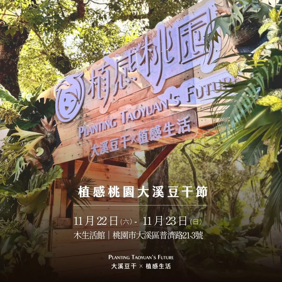 大溪豆干節11/22起連2天登場 喝新鮮豆漿、拿舒華小卡 S 292700164 0