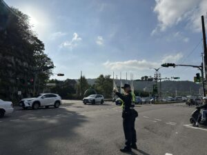 大溪月眉濕地落羽松季登場 交管詳情曝光