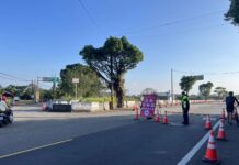 桃園仙草嘉年華11/22開幕!周邊交管、停車資訊這裡看