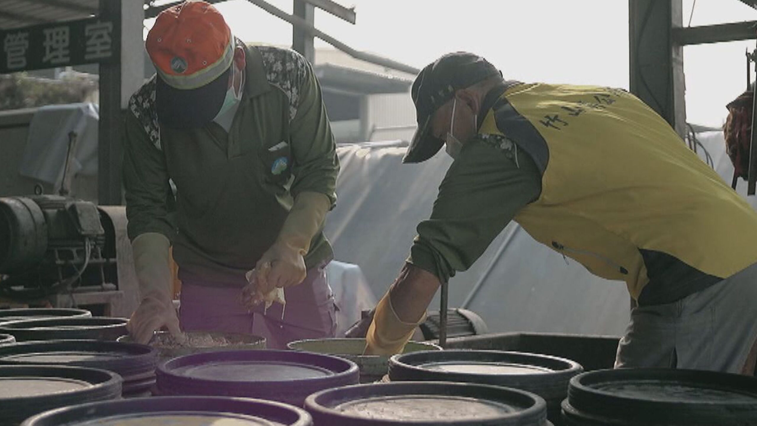 廚餘車加裝GPS喊卡! 延至12月7日上路
