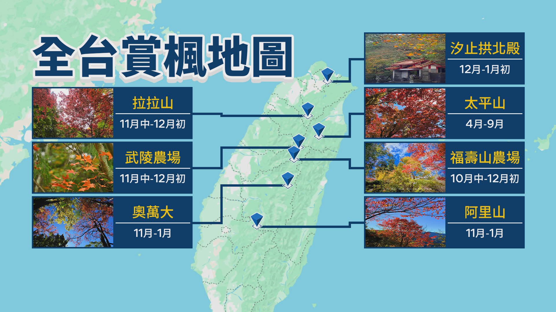 櫻花季訂房開搶! 國小畢旅京阪僅5千 2/看櫻花前先賞楓! 福壽山農場楓樹轉色形成浪漫美景