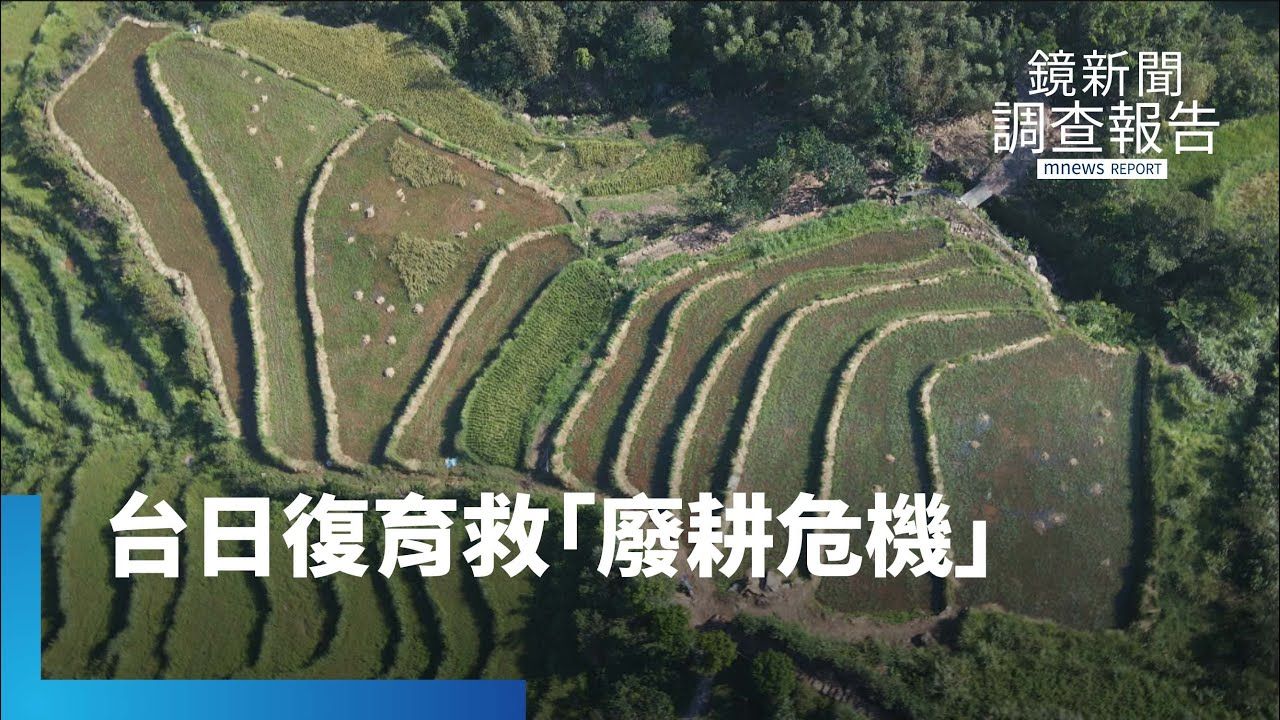 水梯田防洪、抗旱 台日復育挽救「廢耕危機」