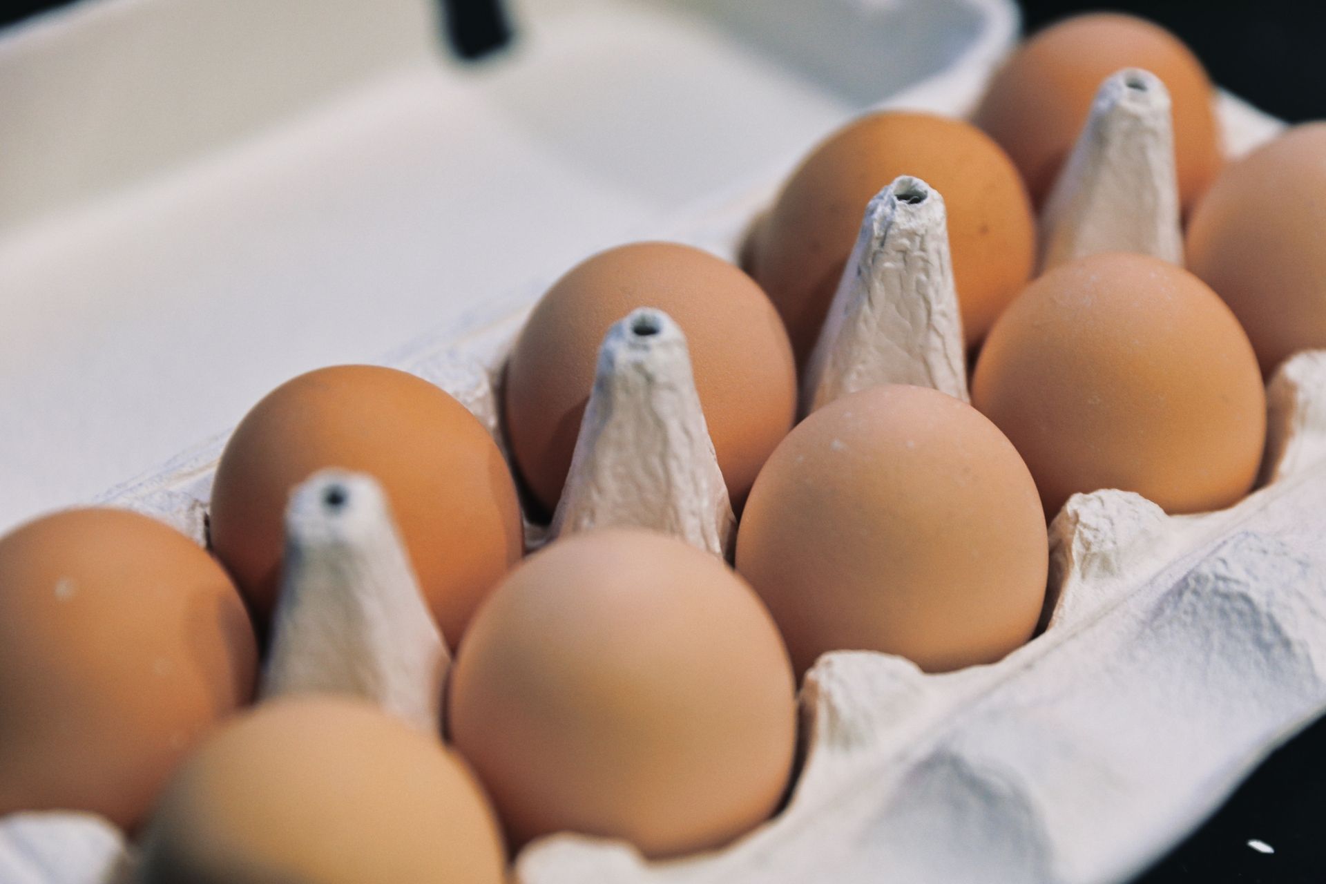 彰化畜牧場「芬普尼蛋」裁罰金額出爐! 動防所籲畜主誠實以對