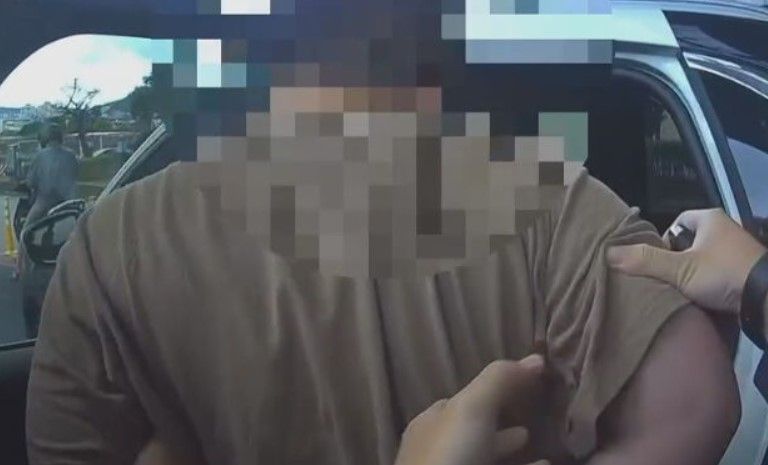 自稱「替天行道」行刺名醫 輔大肄業生遭收押