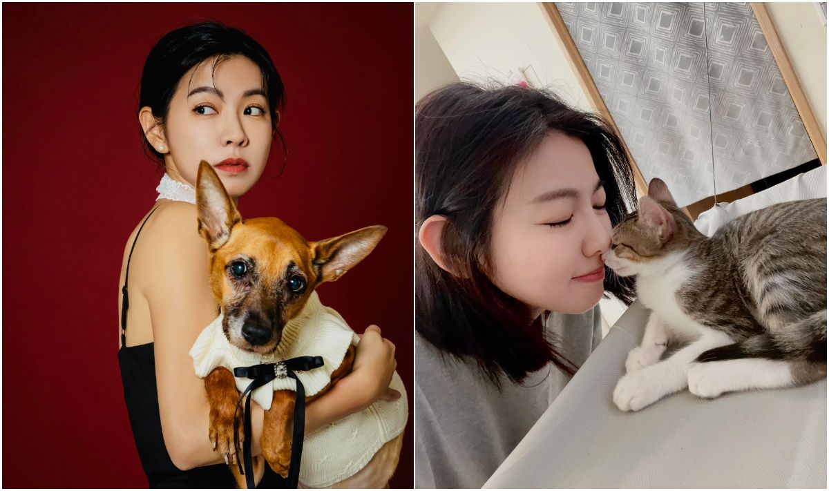 米可白揭「人人犬舍」188隻狗可憐下場 喊話鍾東錦不能輕放