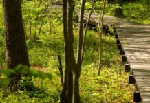 南港公園半夜傳裸身事件 公園處巡邏未見將加強取締