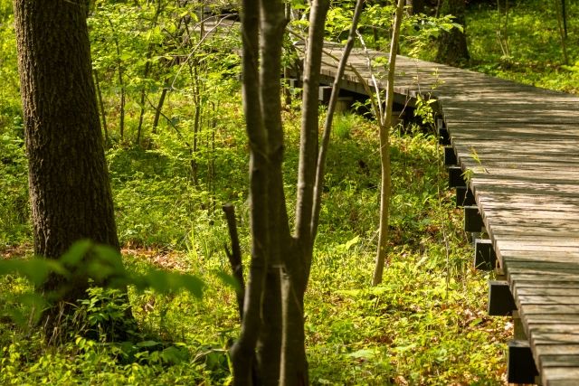 南港公園半夜傳裸身事件 公園處巡邏未見將加強取締
