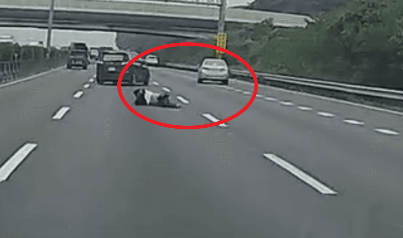 太驚悚!國道上演玩命關頭 男子突「從車摔落」原因曝光