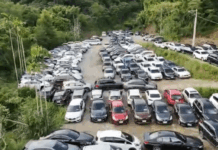 幫派靠「債務整合」詐土地、車輛 警查扣234台權利車市值破億元