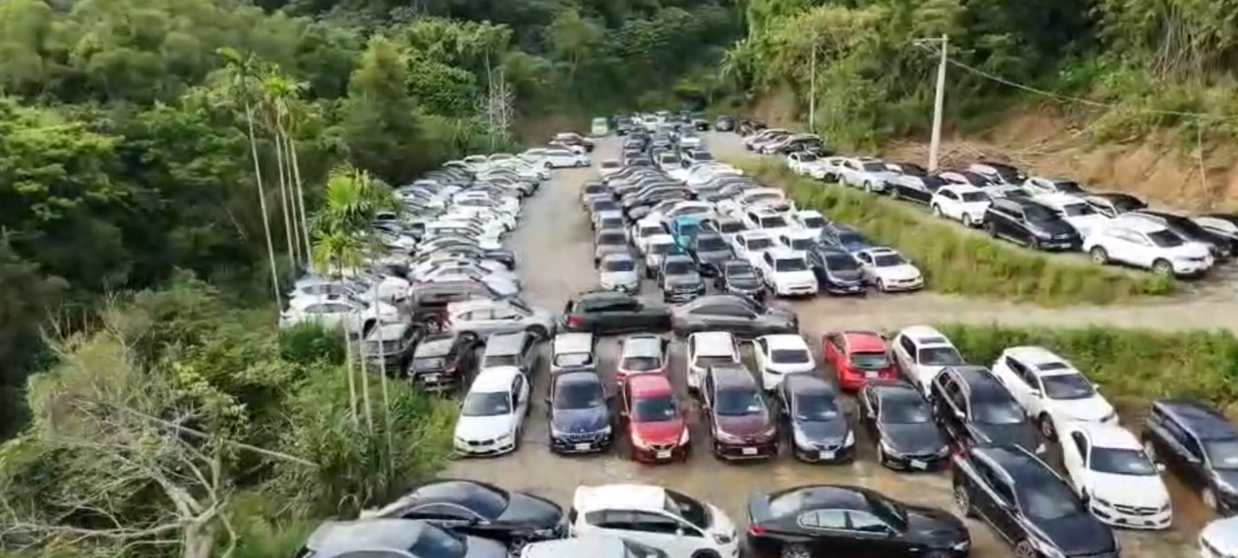 幫派靠「債務整合」詐土地、車輛 警查扣234台權利車市值破億元 hg5w4h5