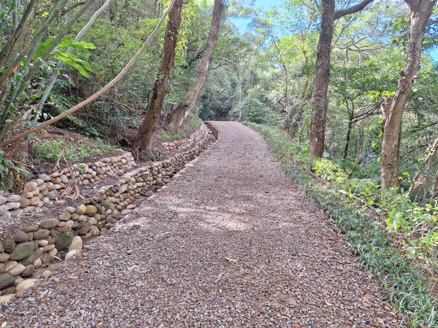 messageImage 1762495716847