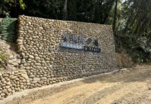 桃園斥資3千萬打造旅遊新亮點「大湖之森步道」11月底開放