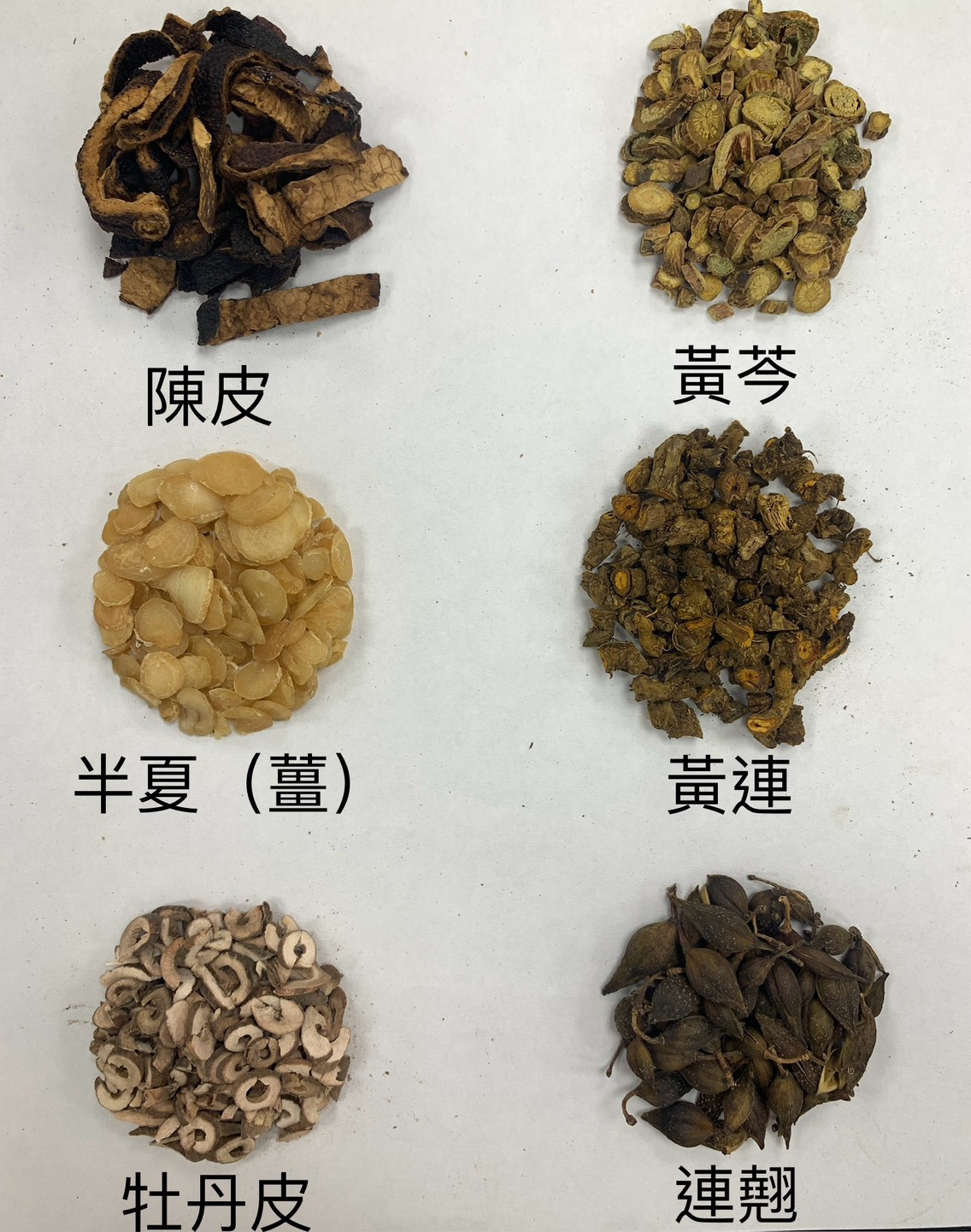 圖三 中藥調理有助緩解化療的不適，常見藥材有陳皮黃芩、半夏、黃連、牡丹皮、連翹等。
