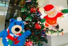 北火熊、聖誕老公公驚喜快閃海科館!民眾合照就拿精美好禮