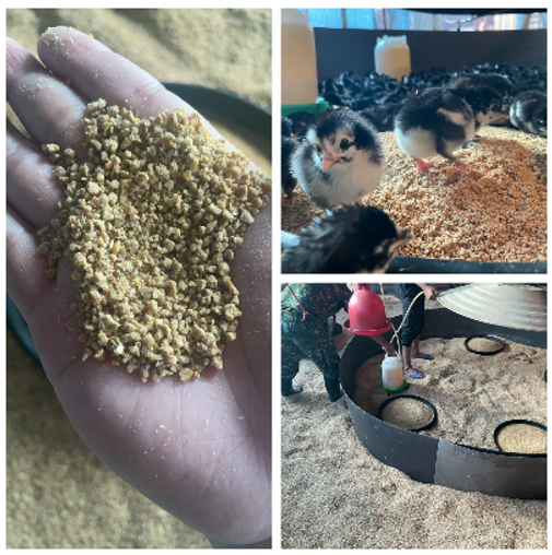 桃園青年局輔導4社企通過「人與地球優先」認證 有助未來拓展市場 20251219091343962