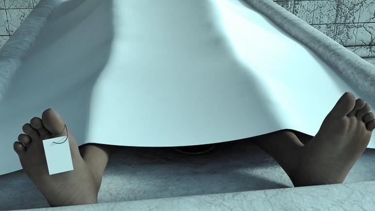 悚!前停屍間主管盜賣器官 被判8年徒刑