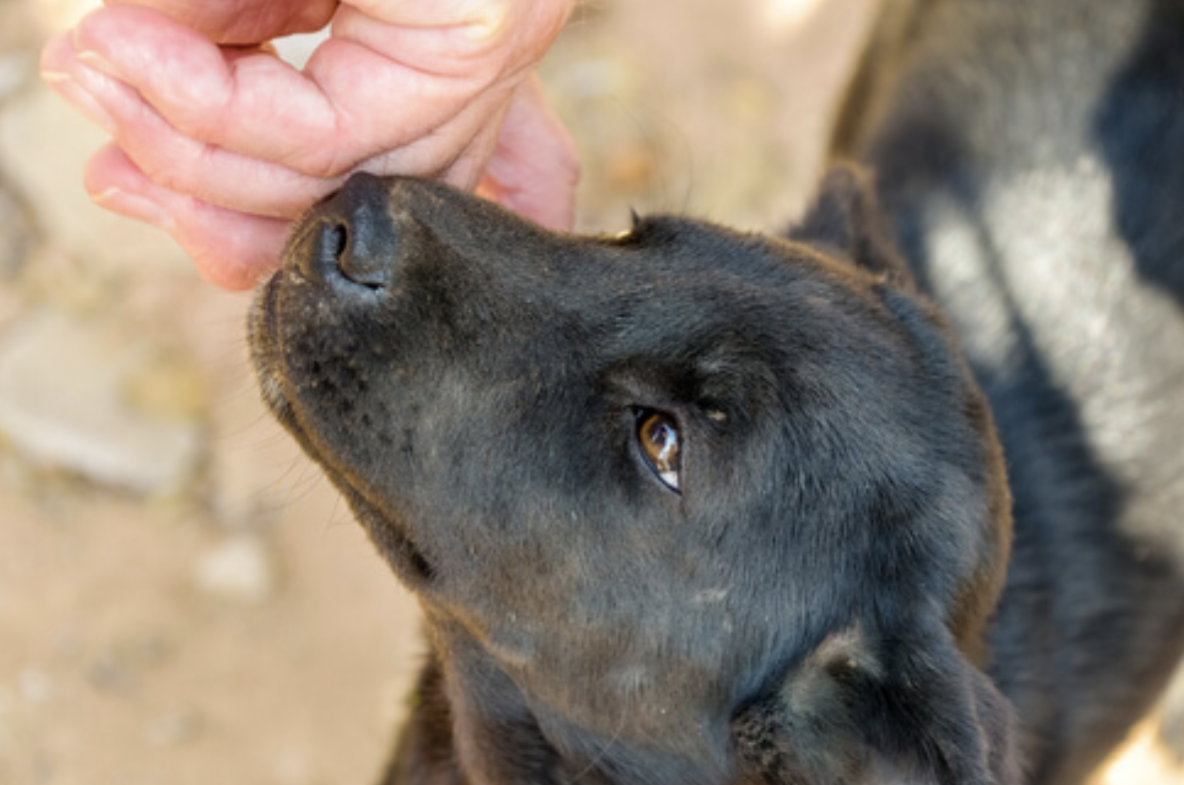 365AB05D 3812 4E82 8CD8 E30EF52FC199